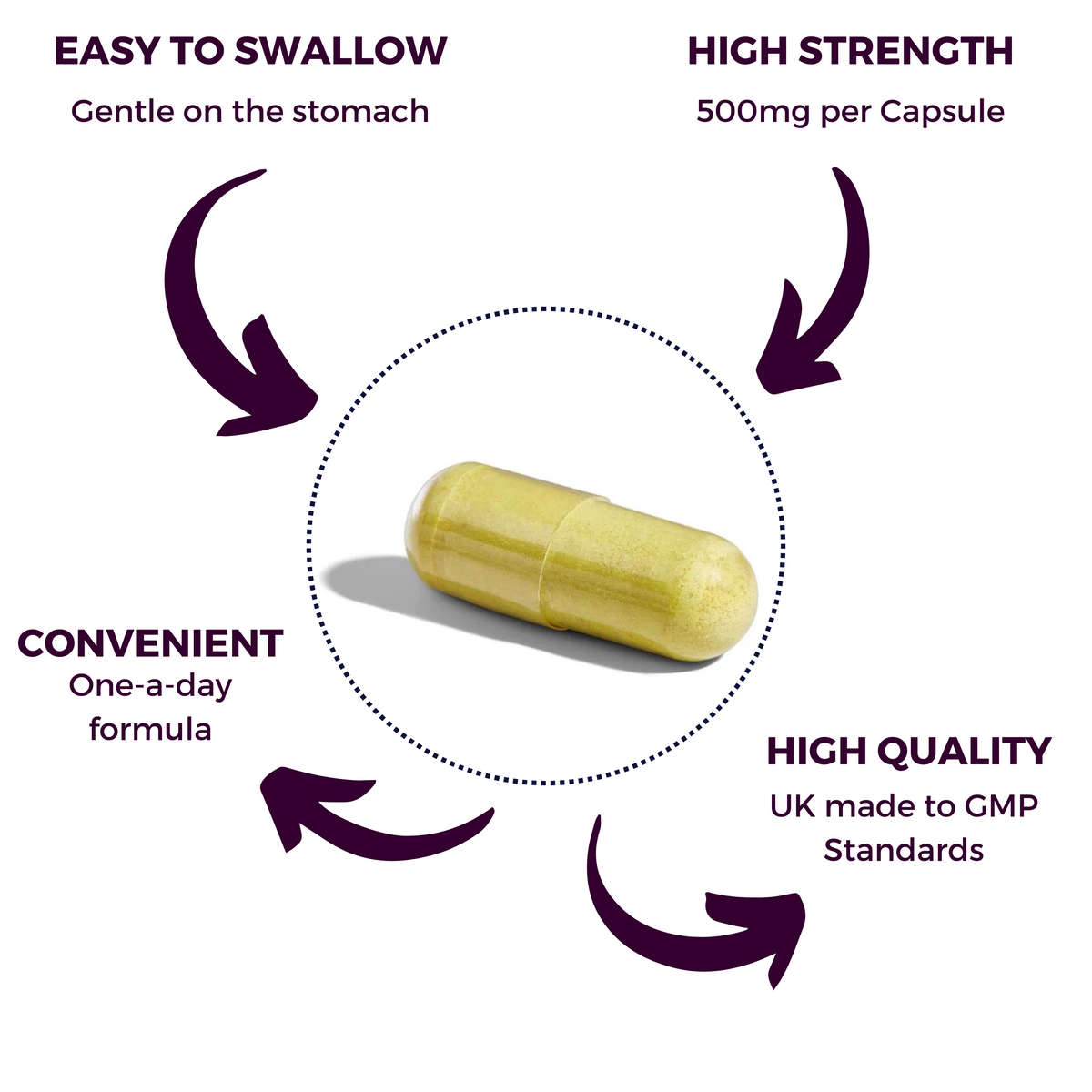 Quercetin 500mg 60 Vegan Capsules - nutripact