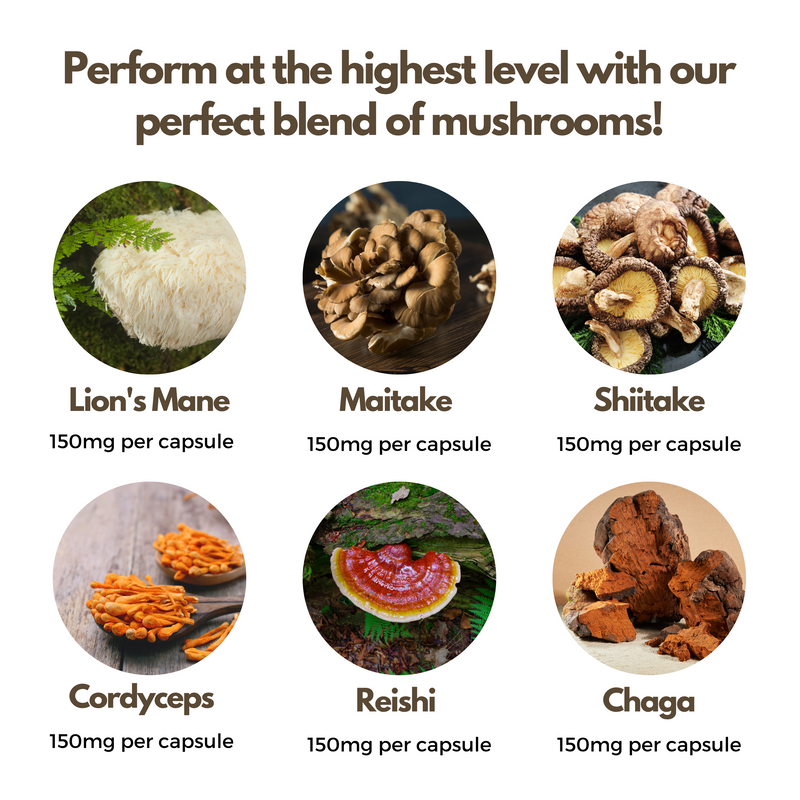 Shroompact Advanced Mushroom Complex - nutripact 