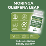 Nutripact Moringa Capsules highlighting key product features on a green background - Vegan Friendly, Digestive Support, Gentle on the Stomach & Allergen Free