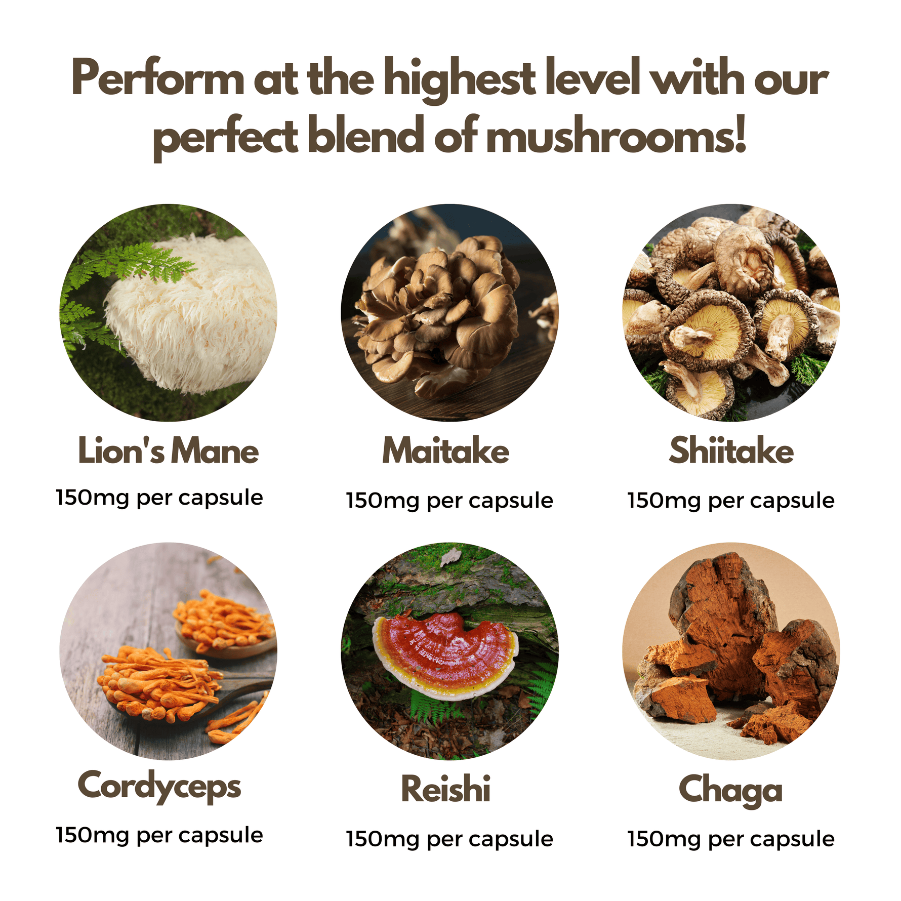 Nutripact Mushroom Complex Capsules key ingredients: Lion's Mane, Maitake, Shiitake, Cordyceps, Reishi & Chaga