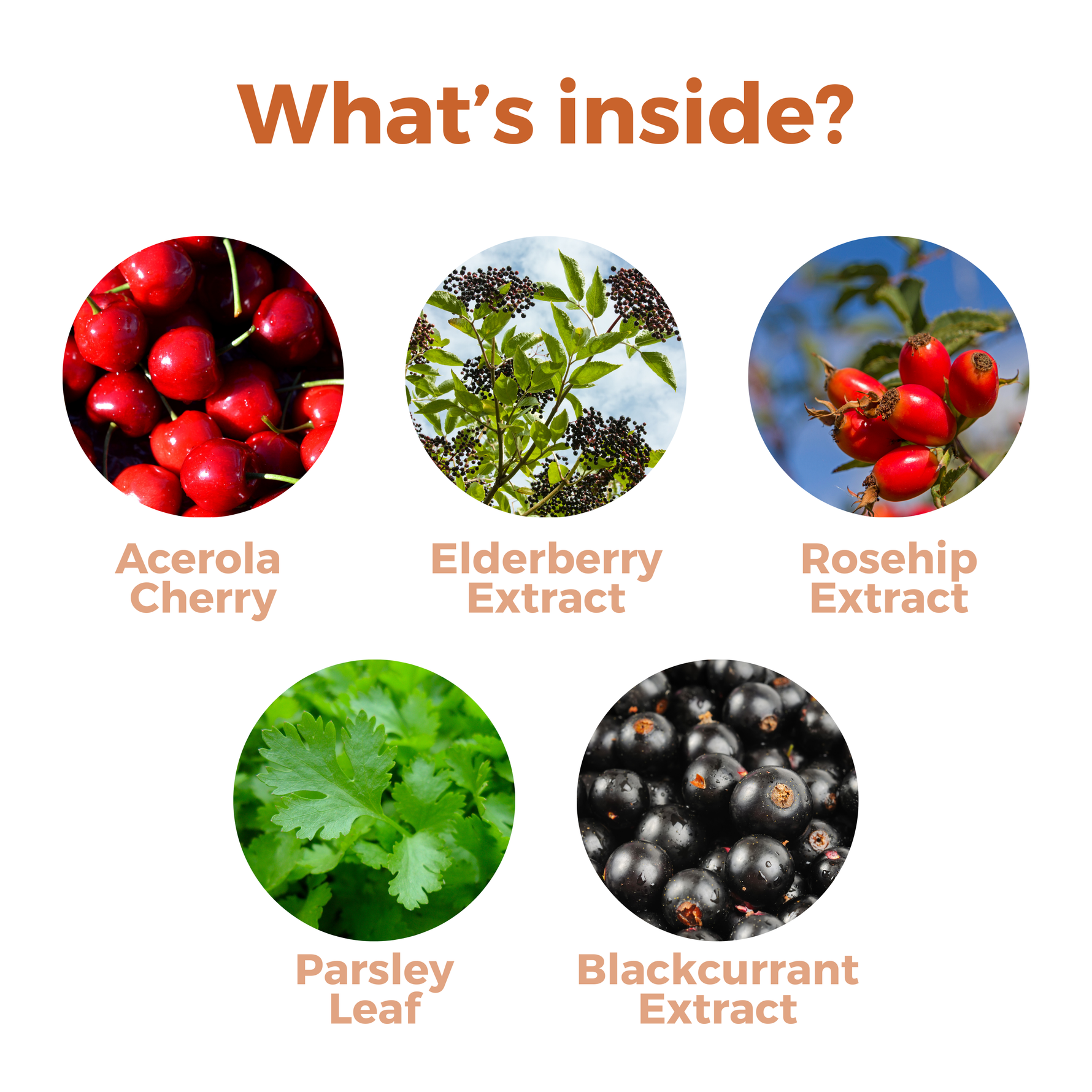 Nutripact Vitamin C Complex Capsules key ingredients: Acerola Cherry, Elderberry Extract, Rosehip Extract, Parsley Leaf & Blackcurrant Extract