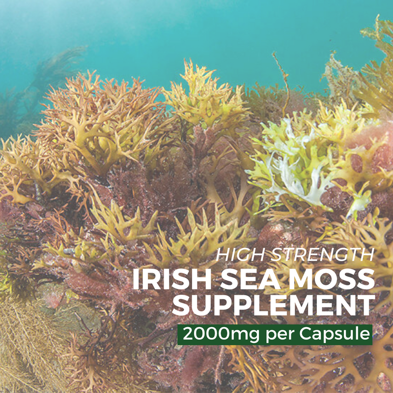 Irish Sea Moss 2000mg Vegan Capsules - 60 Pack - nutripact 